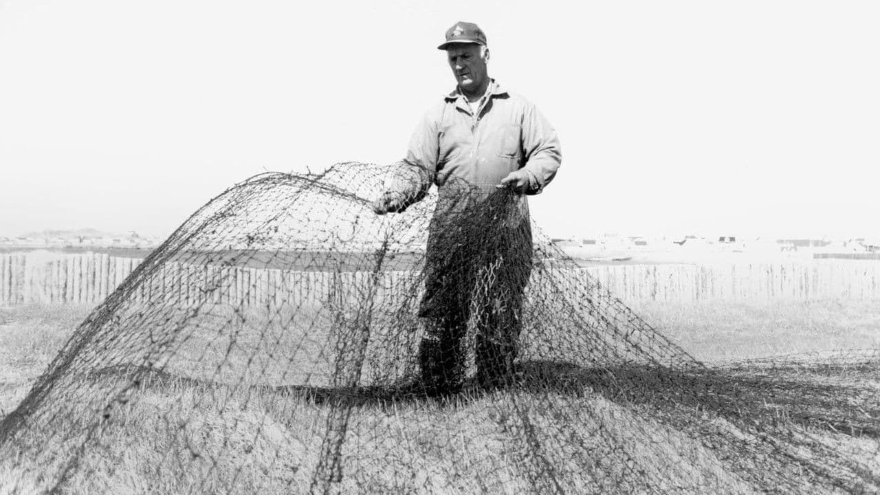 Backdrop – Taking Stock