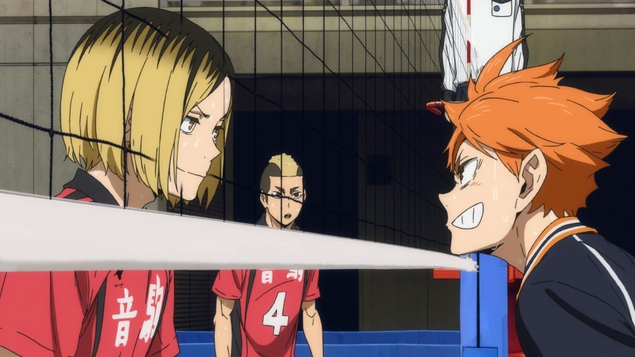 Backdrop – Haikyu!! Das Play-off der Müllhalde