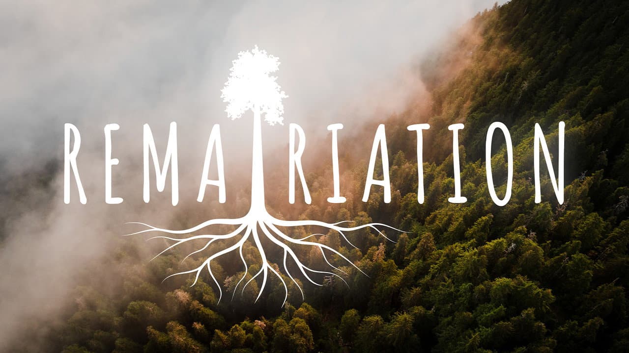 Backdrop – Rematriation