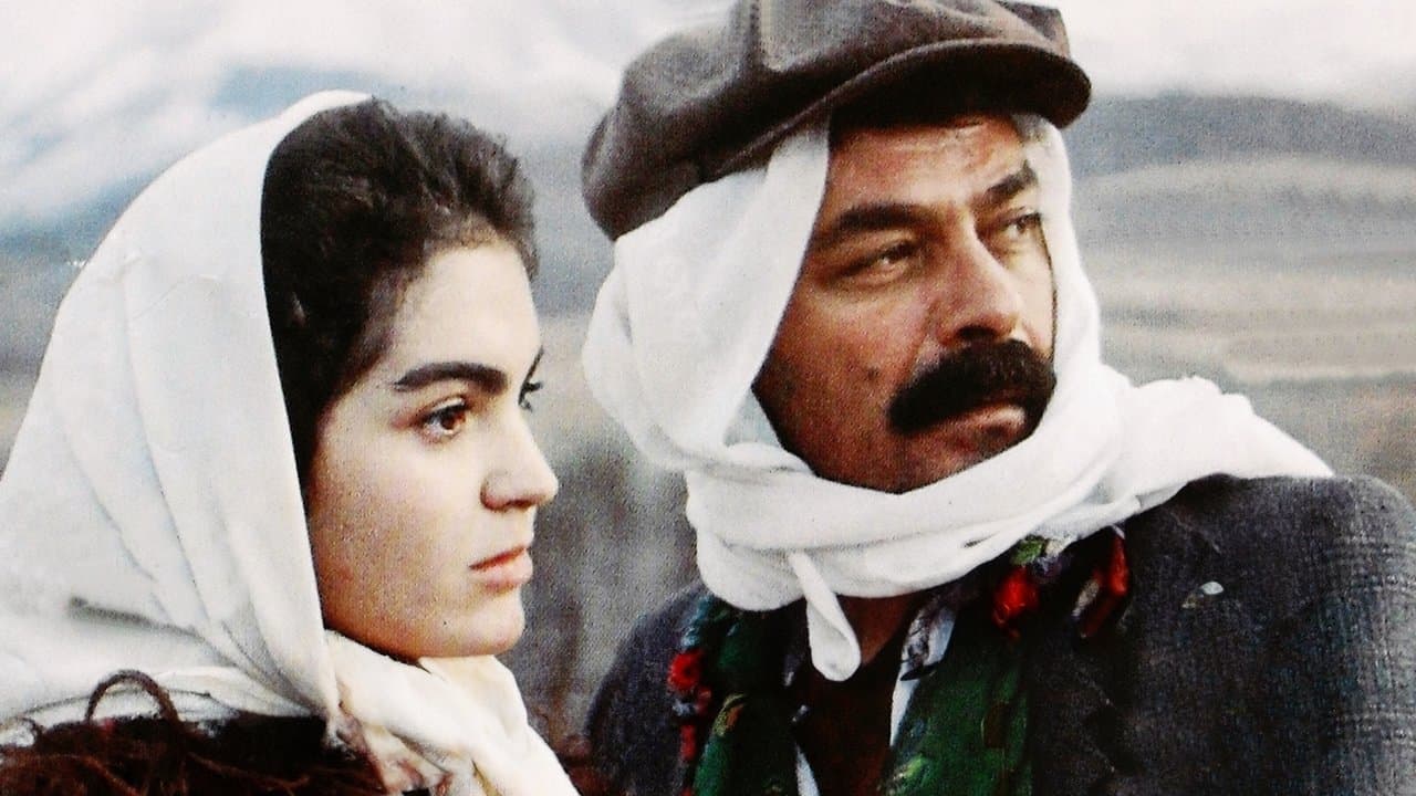 Backdrop – Tatar Ramazan