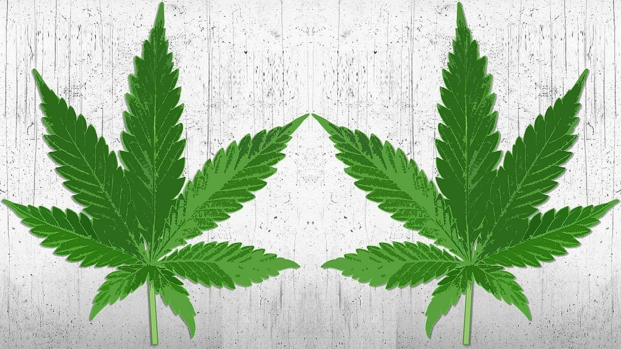 Backdrop – High There