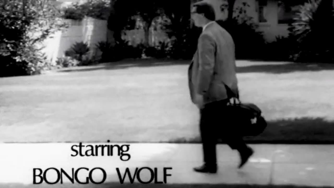 Backdrop – Bongo Wolf’s Revenge