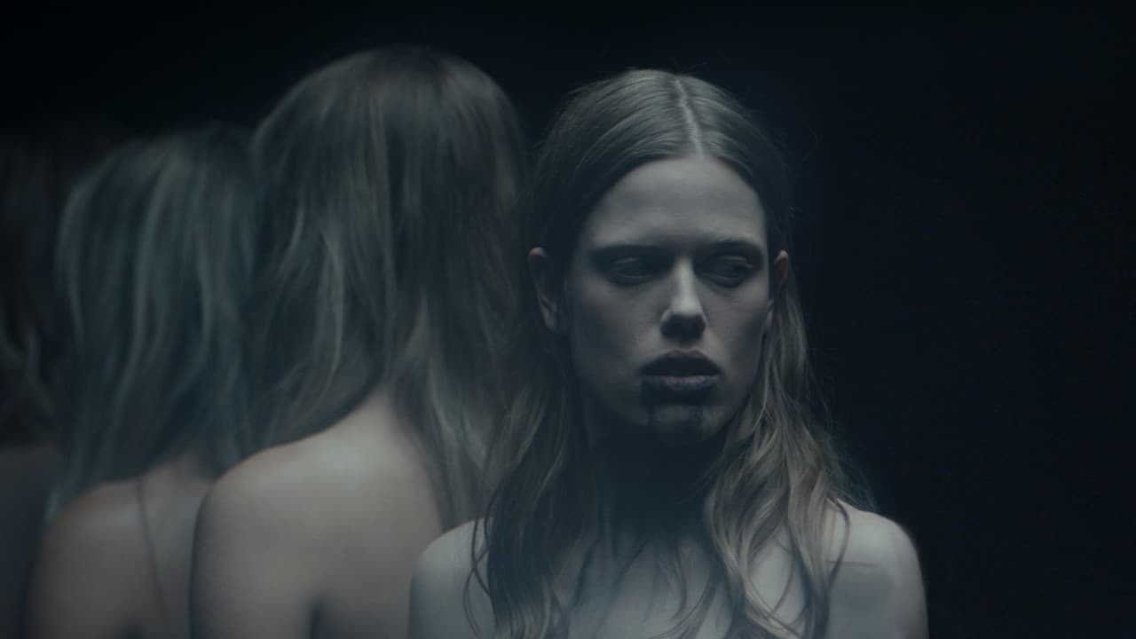 Backdrop – Sugar Daddy