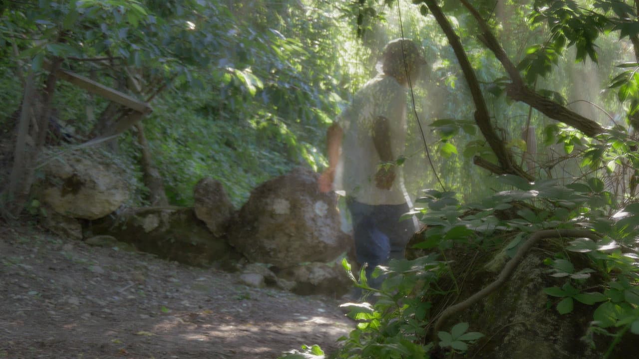 Backdrop – Pelle vegetale. Un'intervista
