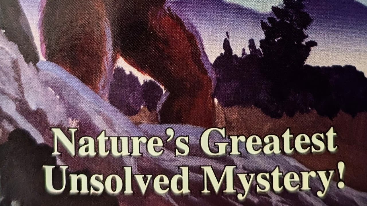 Backdrop – The Hunt for Bigfoot