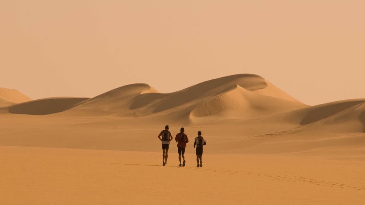 Backdrop – Running the Sahara