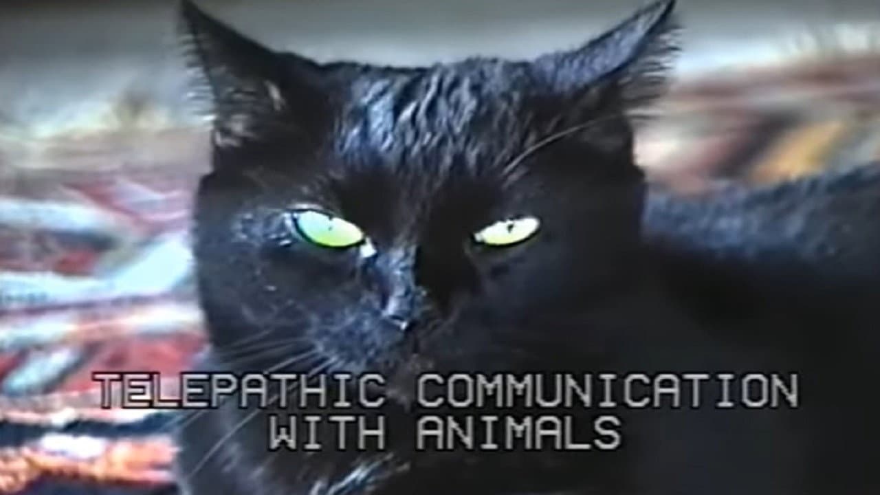 Backdrop – Telepathic Communication with Animals