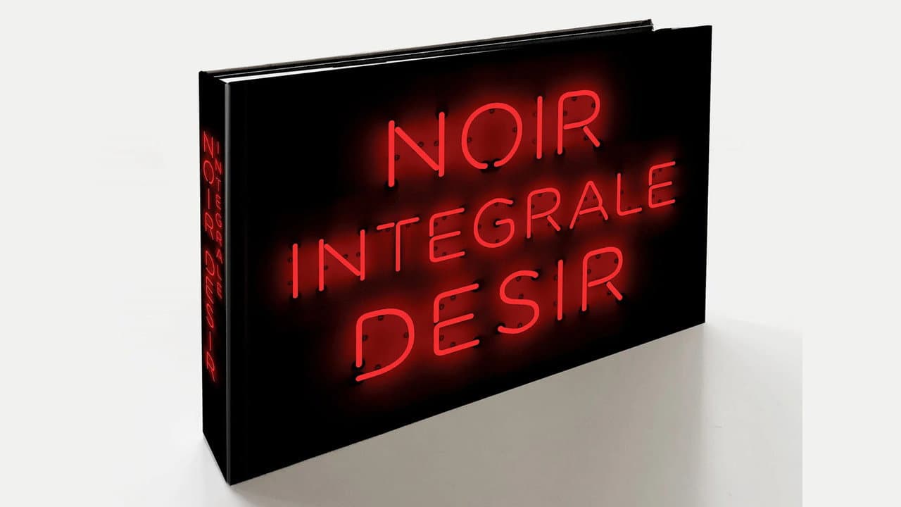 Backdrop – Noir Désir: Intégrale
