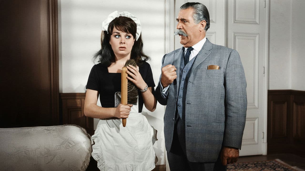 Backdrop – Hizmetçi Dediğin Böyle Olur