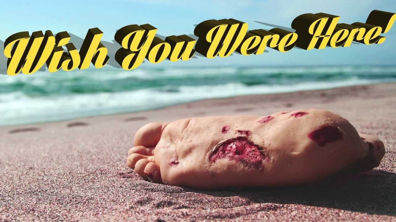 Backdrop – Survivor Type