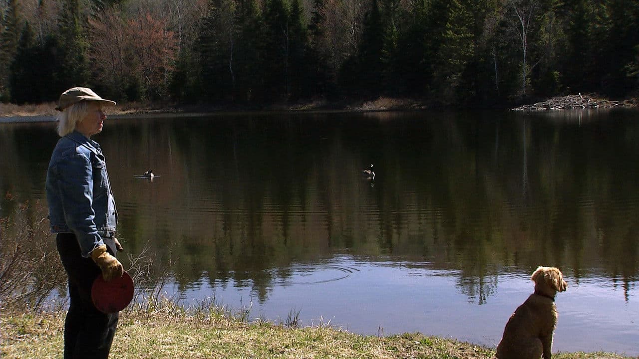 Backdrop – Paint Until Dawn: a documentary on art in the life of James Gahagan