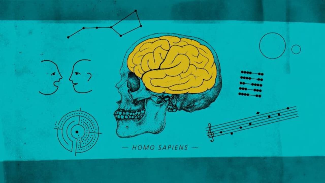 Backdrop – Human By Chance?