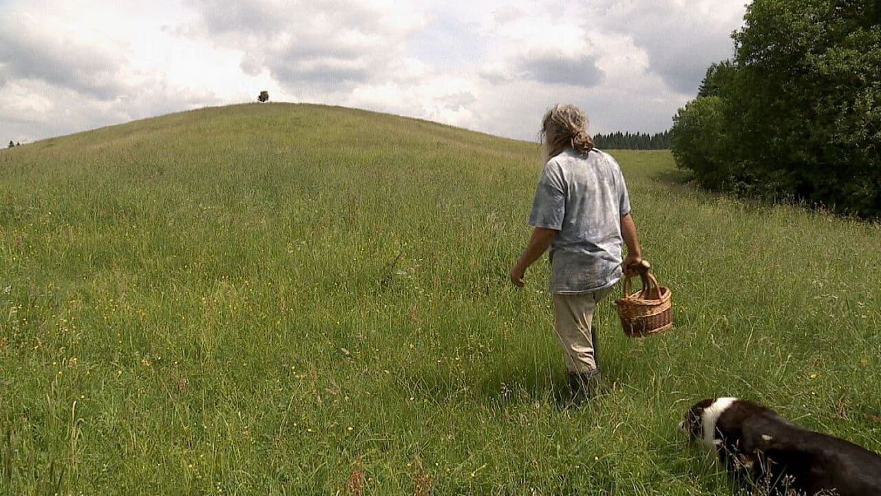 Backdrop – Auf der Suche nach Heilern