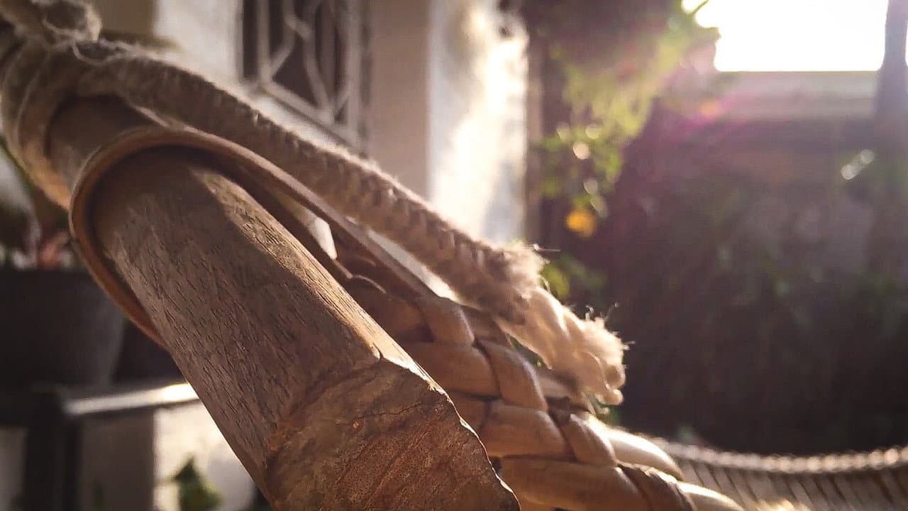 Backdrop – Dear Ma