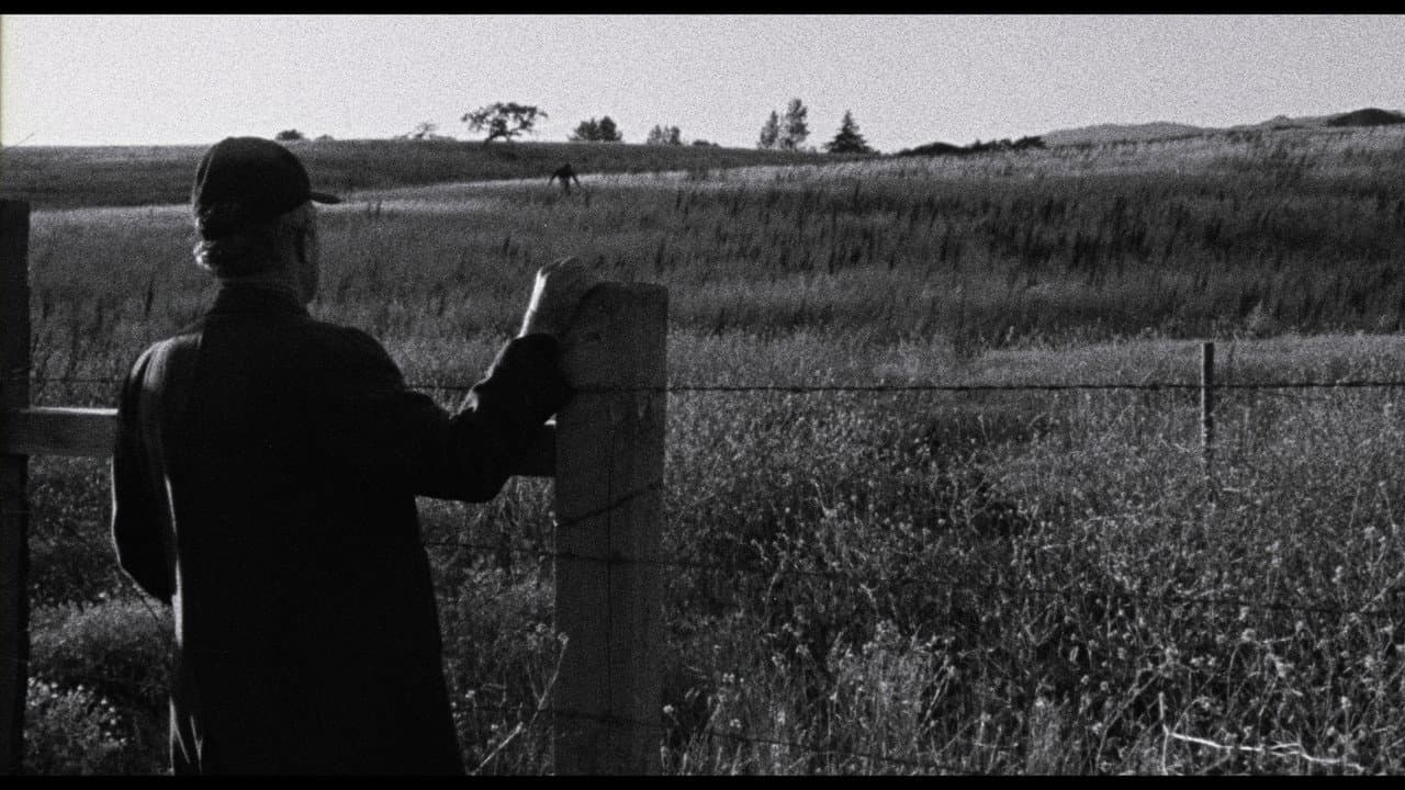 Backdrop – Faith of Our Fathers, a film by Hamilton Sterling