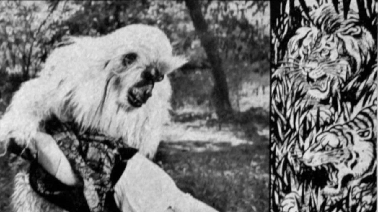 Backdrop – The White Gorilla