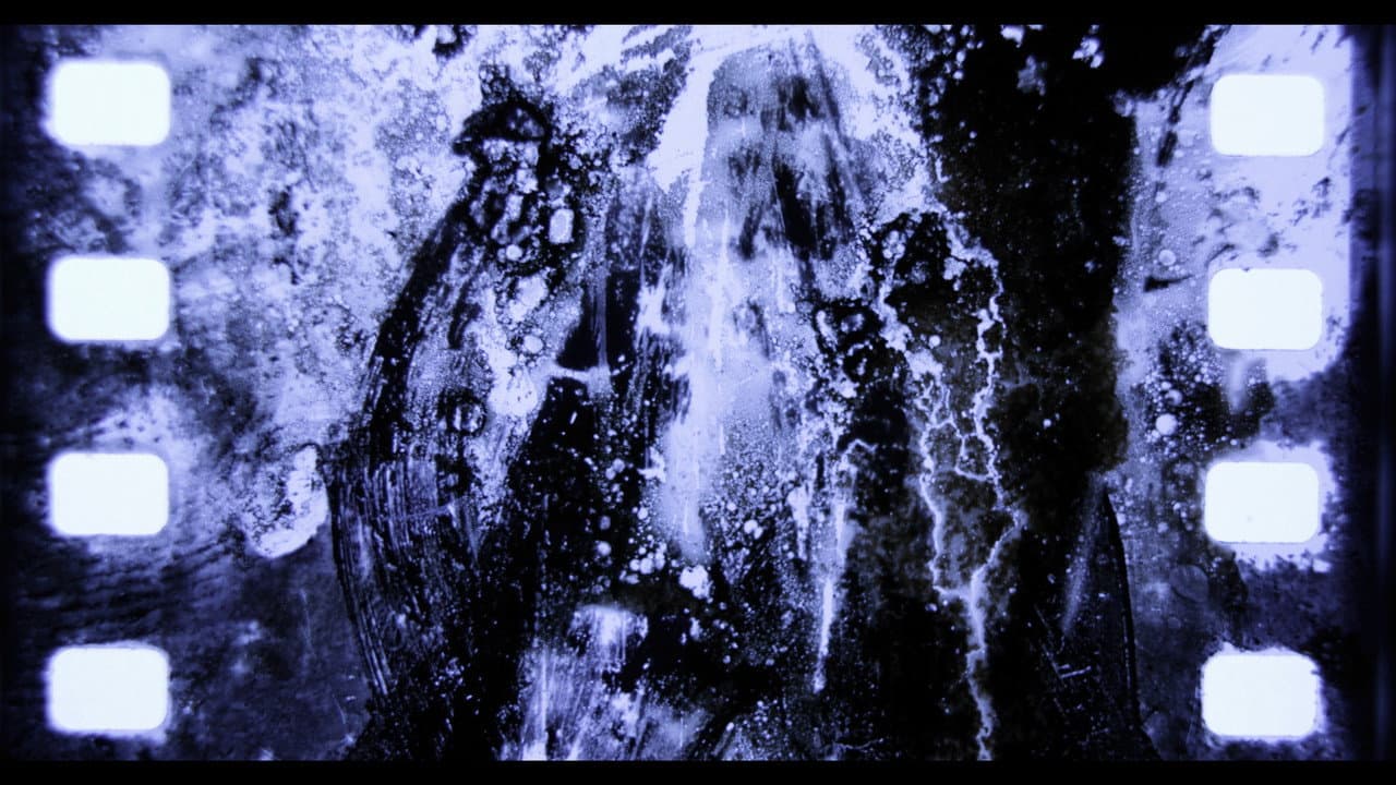 Backdrop – I Had a Dream of a House at Night