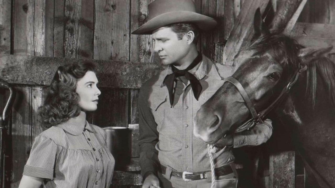 Backdrop – Red Stallion In The Rockies