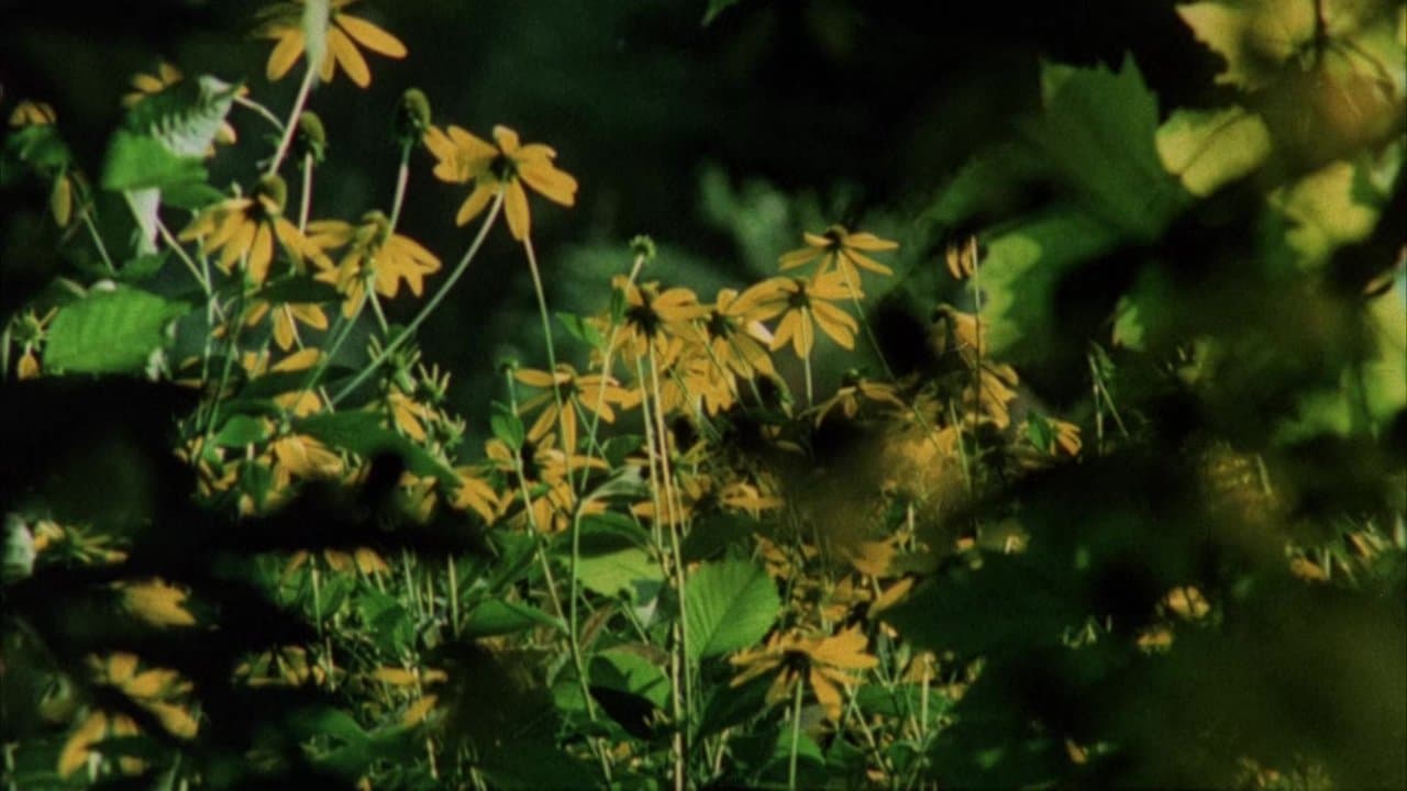 Backdrop – Die große Orgie