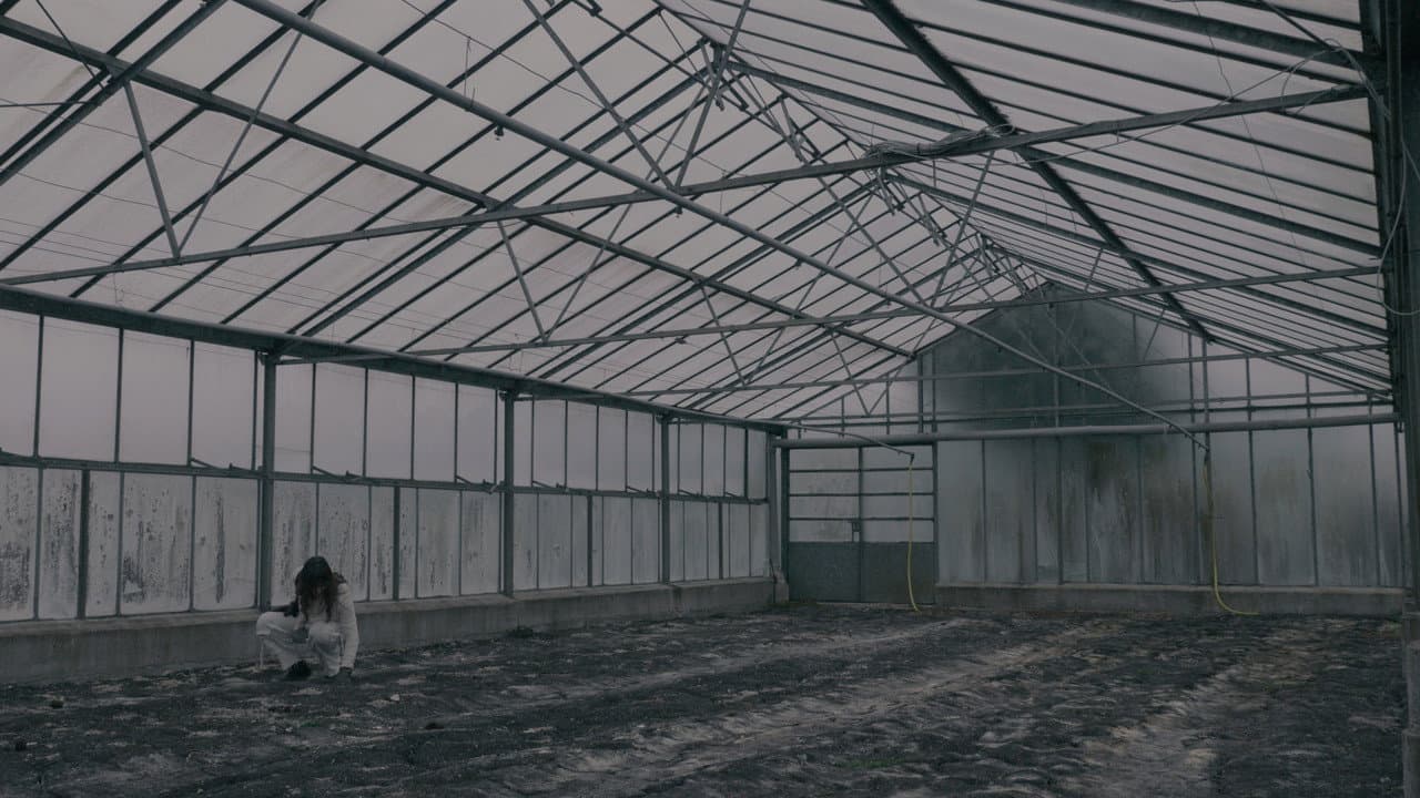 Backdrop – BLOOM - A Dystopian Short Film