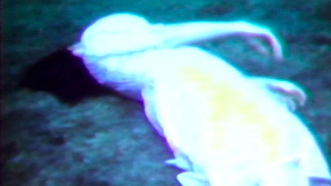 Backdrop – Beneath the Skin