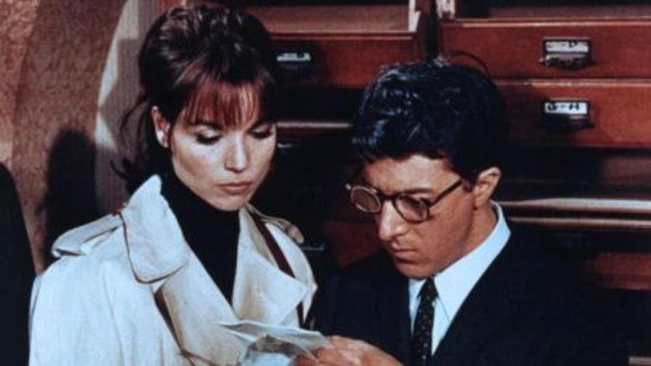 Backdrop – Zwei Nummern zu groß