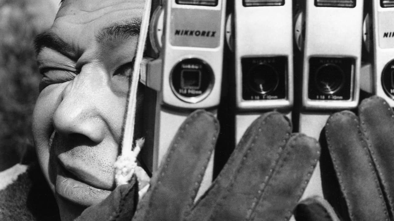 Backdrop – Einführung in die Menschenkunde