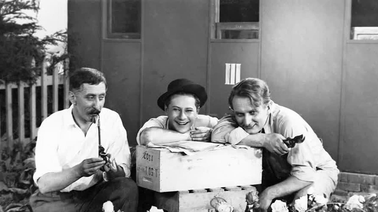 Backdrop – Na růžích ustláno