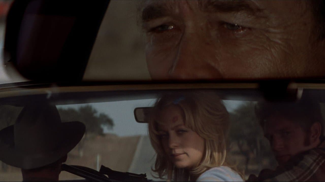 Backdrop – Sugarland Express