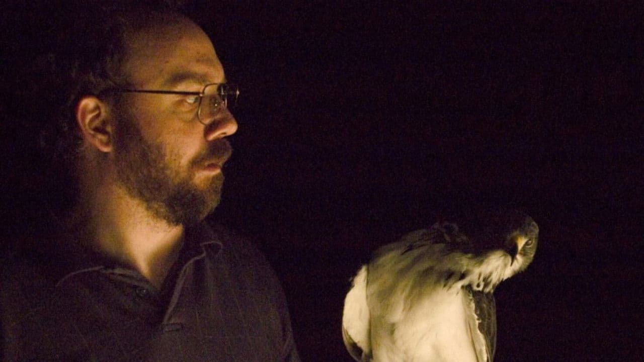 Backdrop – The Hawk Is Dying