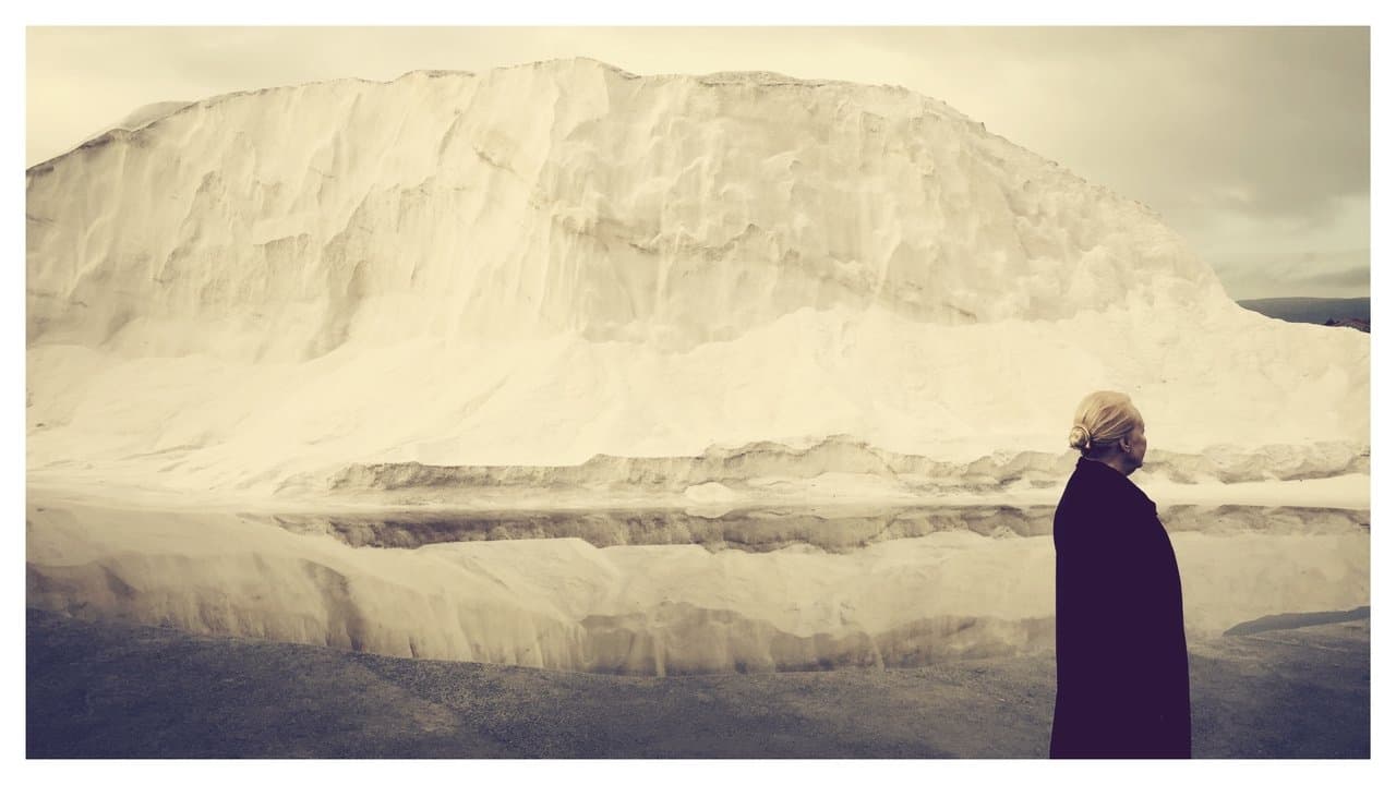 Backdrop – I Am Belfast