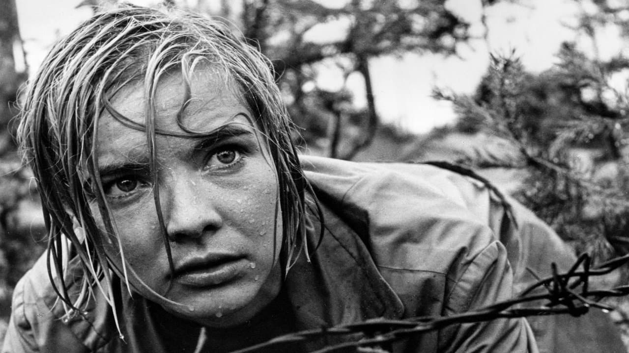 Backdrop – Königskinder