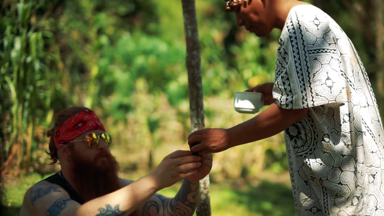 Backdrop – Soldiers of the Vine