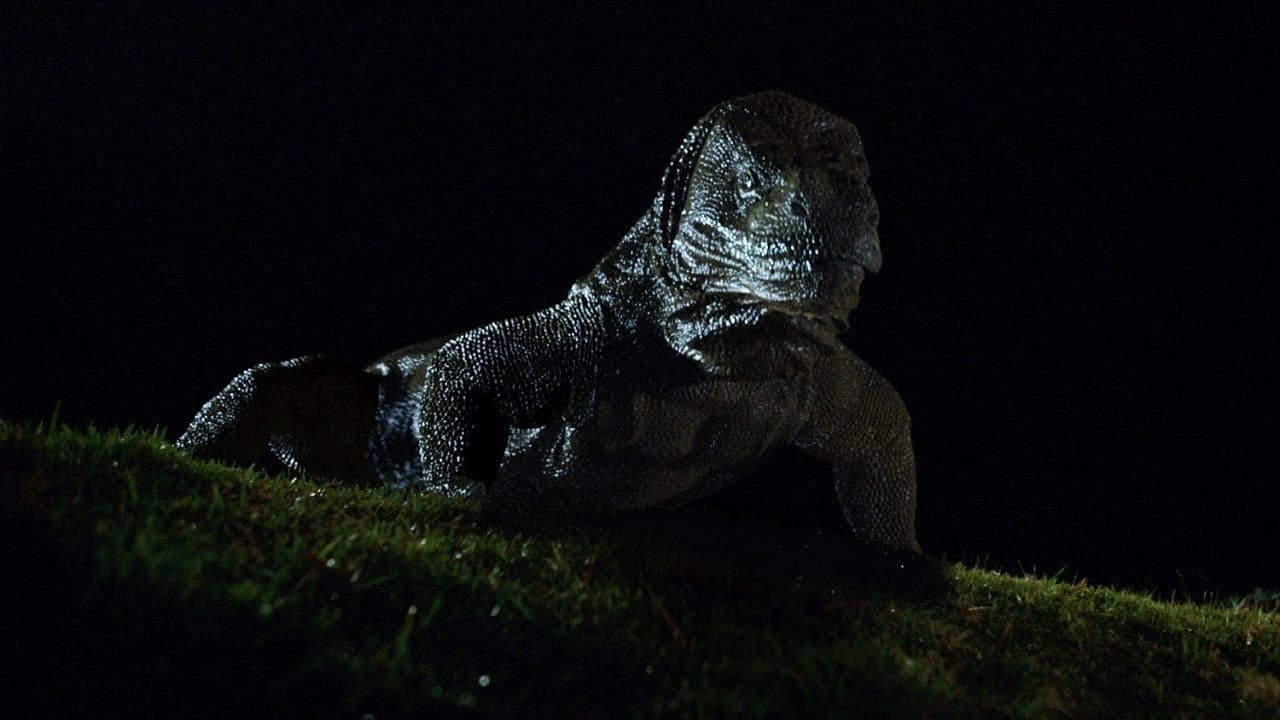 Backdrop – Komodo - The Living Terror