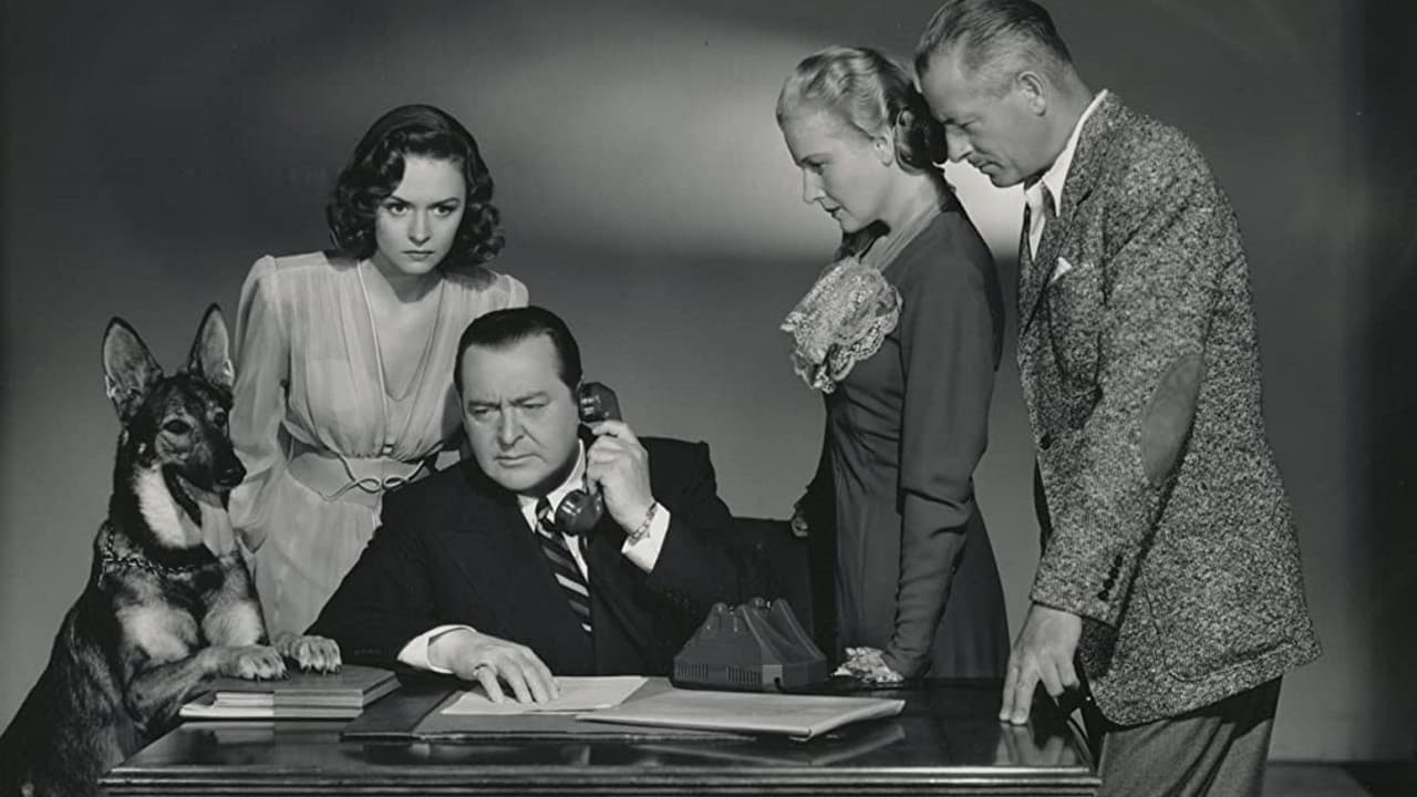 Backdrop – Die Spur im Dunkel