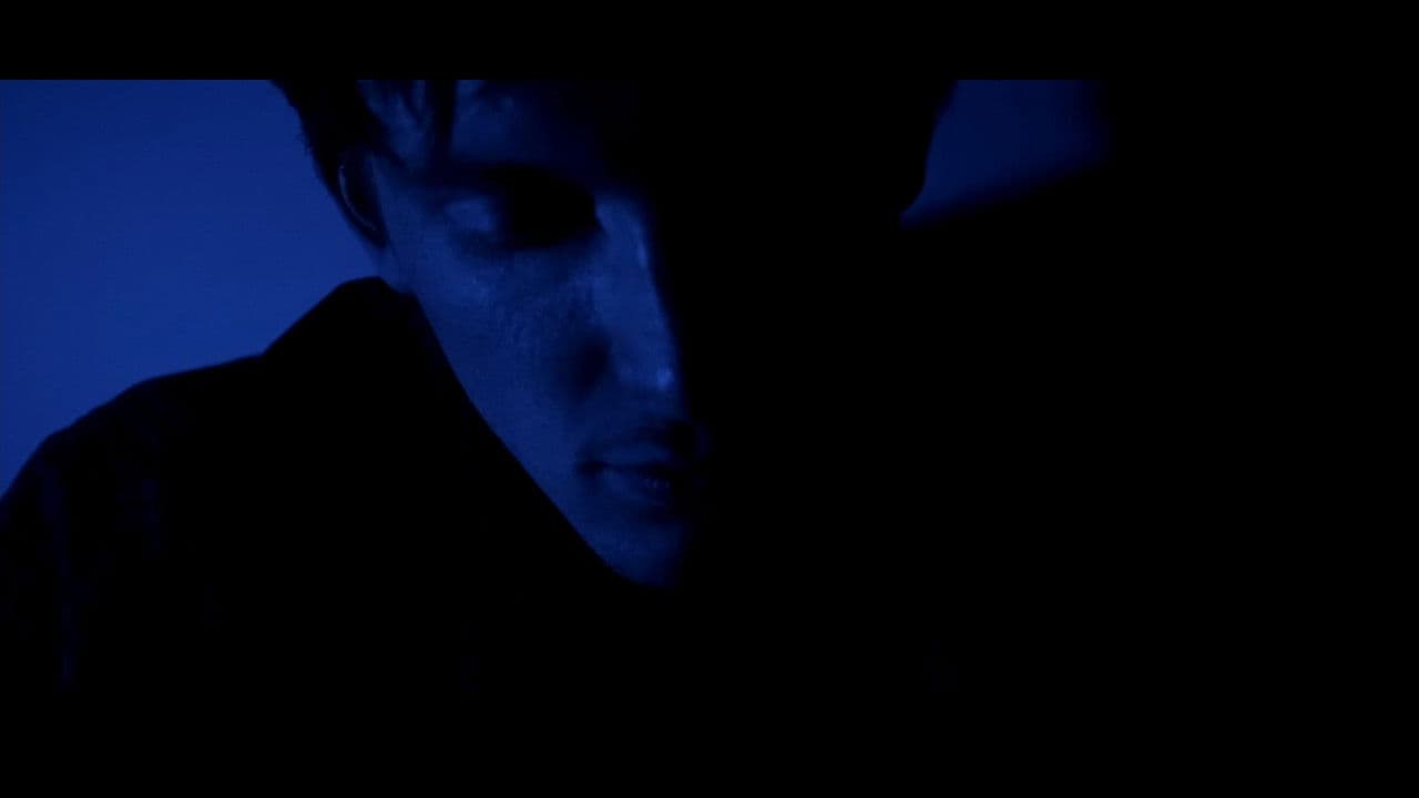 Backdrop – Cascade