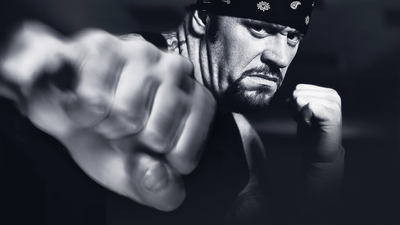 Backdrop – WWE Vengeance 2003