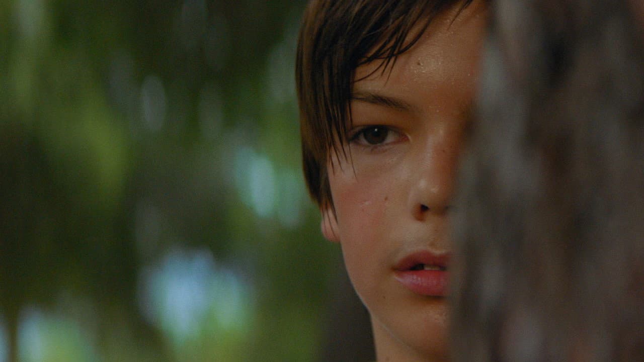 Backdrop – Le Loup et la Chatte