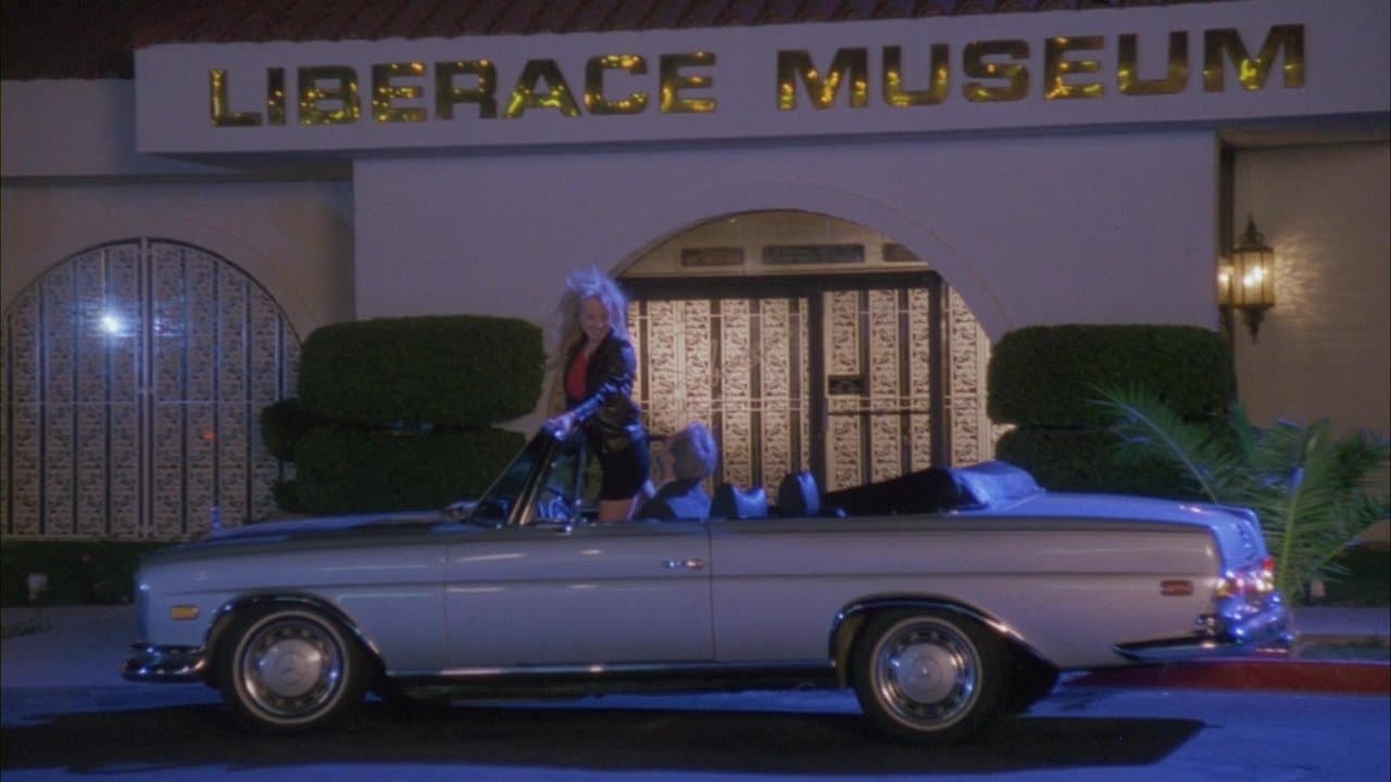 Backdrop – The Winner - Heiße Nächte in Las Vegas