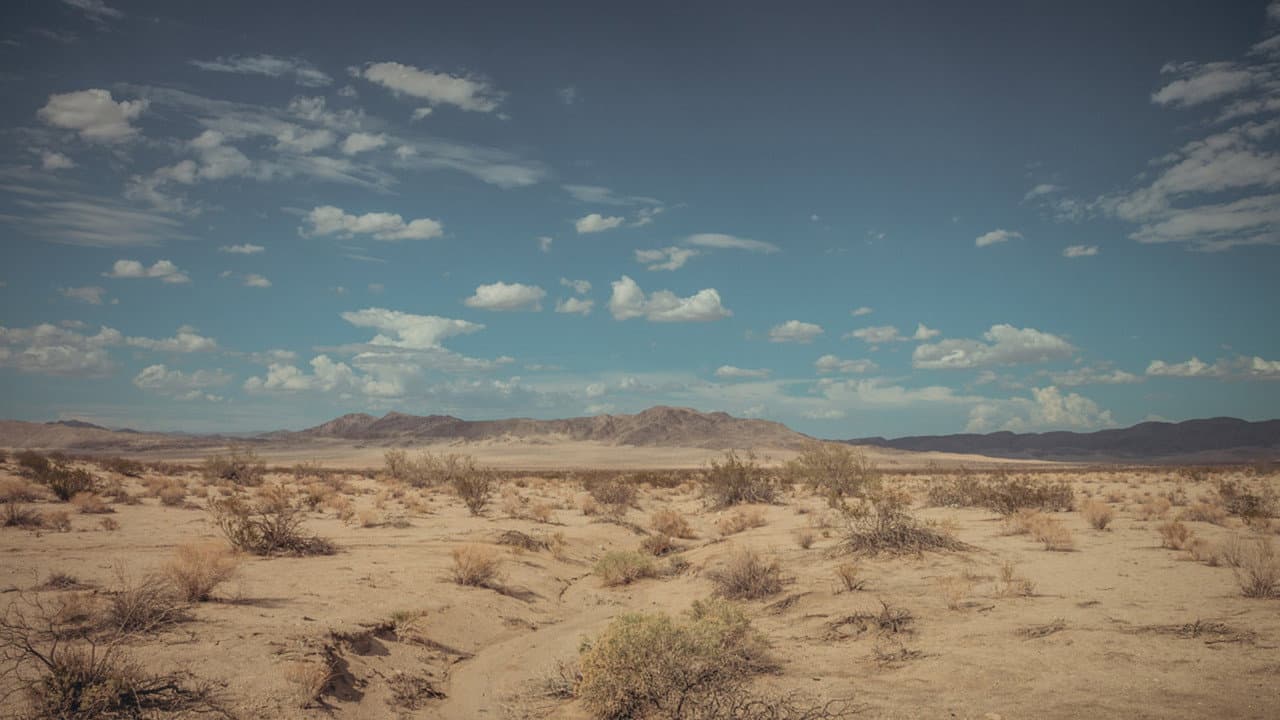 Backdrop – Fame in California