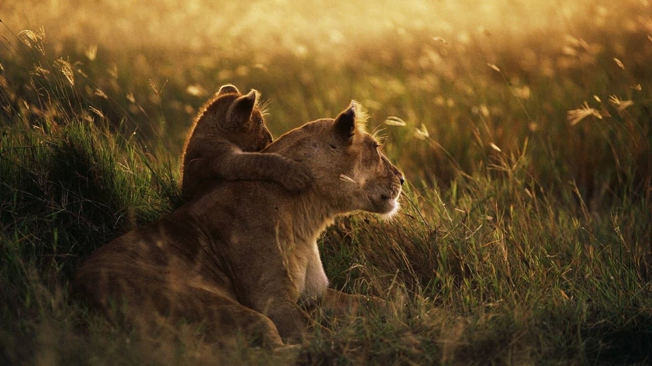 Backdrop – Serengeti - Im Reich der Antilopen
