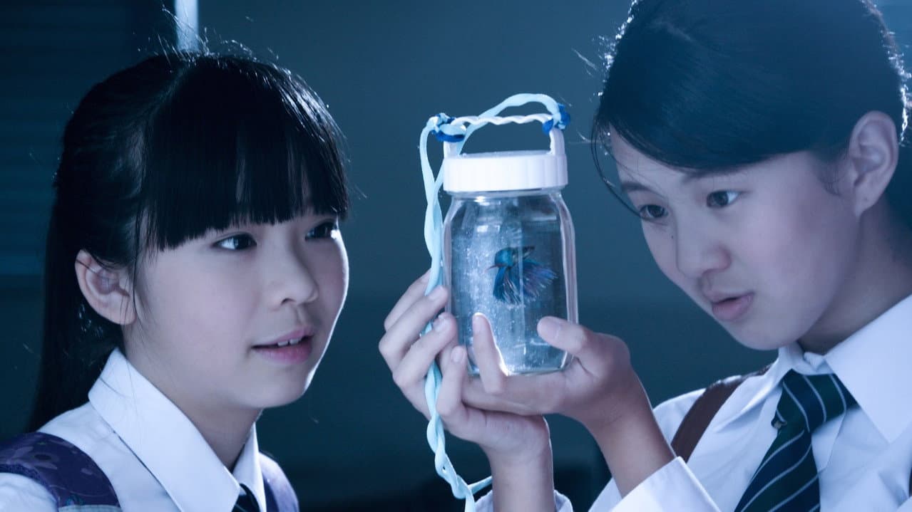 Backdrop – 星星的孩子