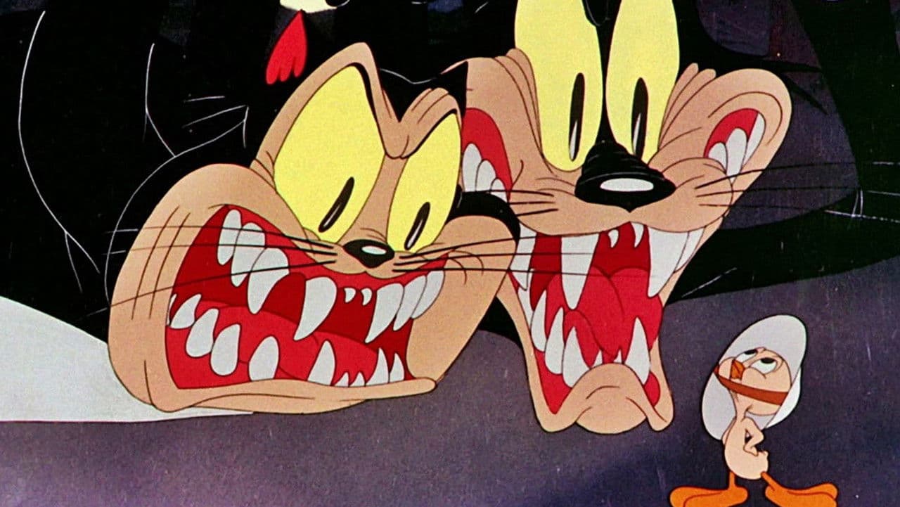 Backdrop – Die Geschichte zweier Katzen