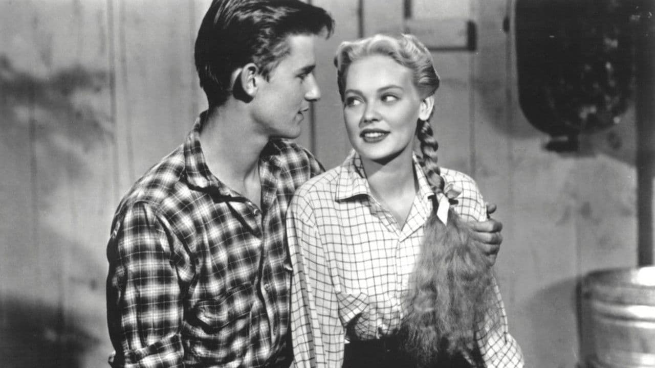 Backdrop – Black Midnight