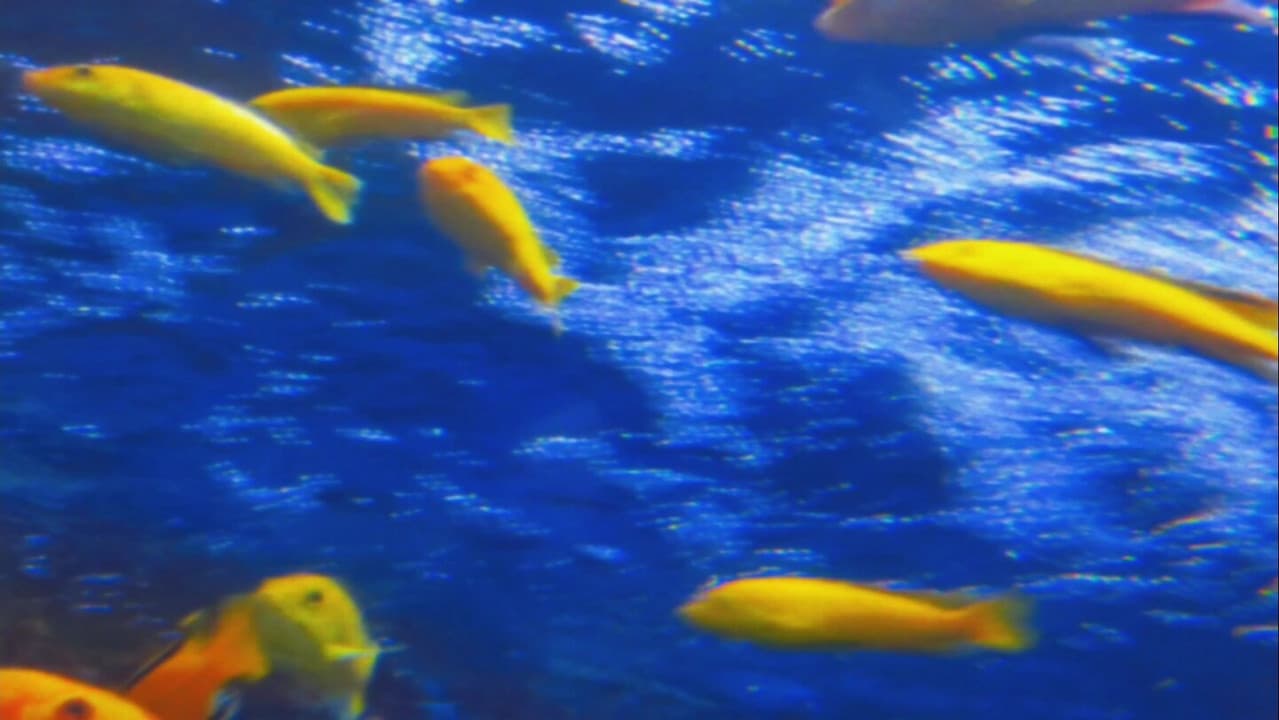 Backdrop – Silent Breaths Beneath Electric Glow