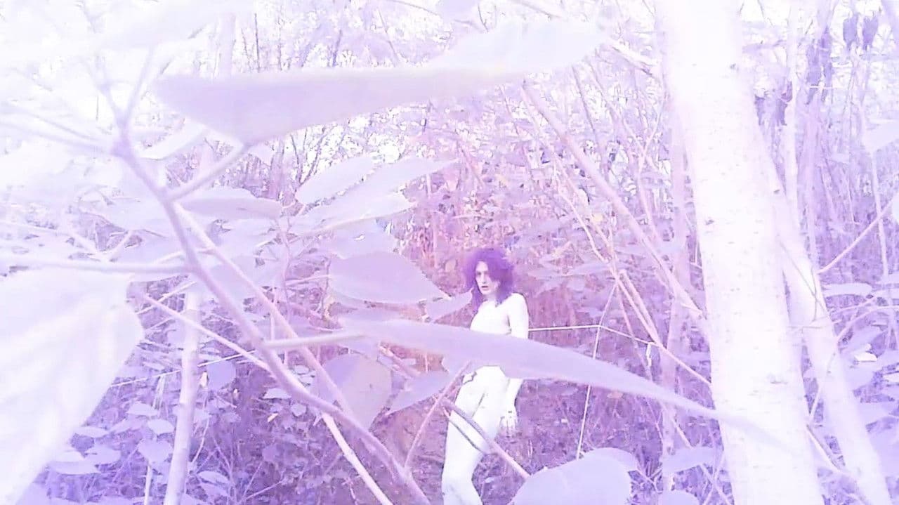 Backdrop – Tarotxorcismo