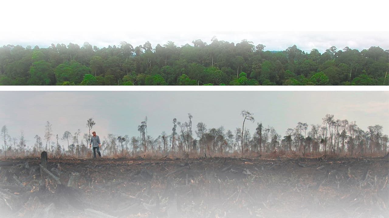 Backdrop – Die grüne Lüge