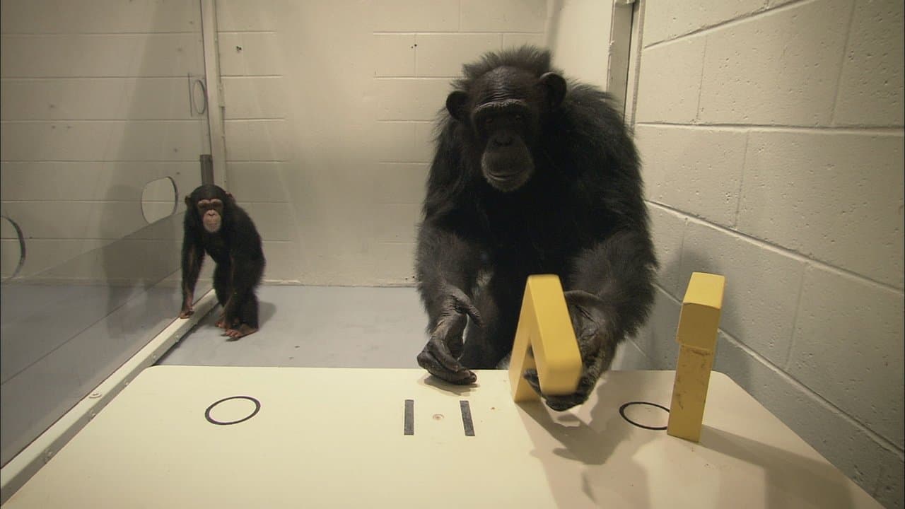 Backdrop – Endstation Fortschritt