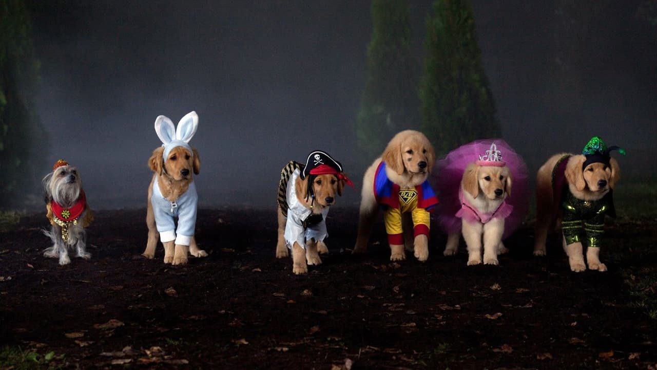 Backdrop – Spooky Buddies - Der Fluch des Hallowuff-Hunds