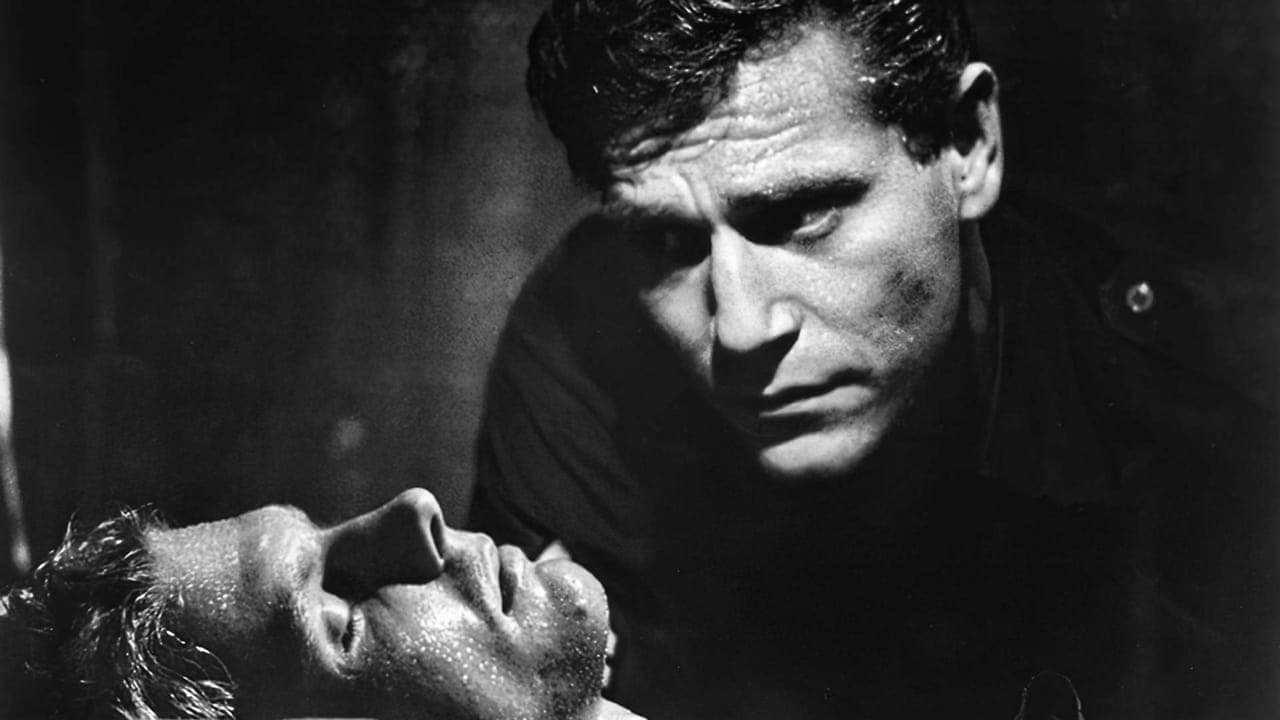 Backdrop – Sie nannten ihn King